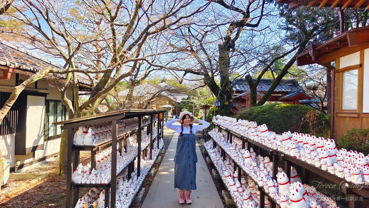 來這發財保平安!東京「招財貓發源地」免費拍到飽,還能請回台灣旺家運 來這發財保平安!東京「招財貓發源地」免費拍到飽,還能請回台灣旺家運