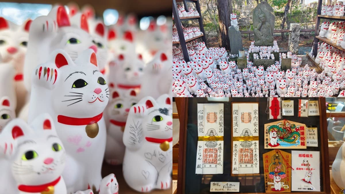 來這發財保平安！東京「招財貓發源地」免費拍到飽，還能請回台灣旺家運