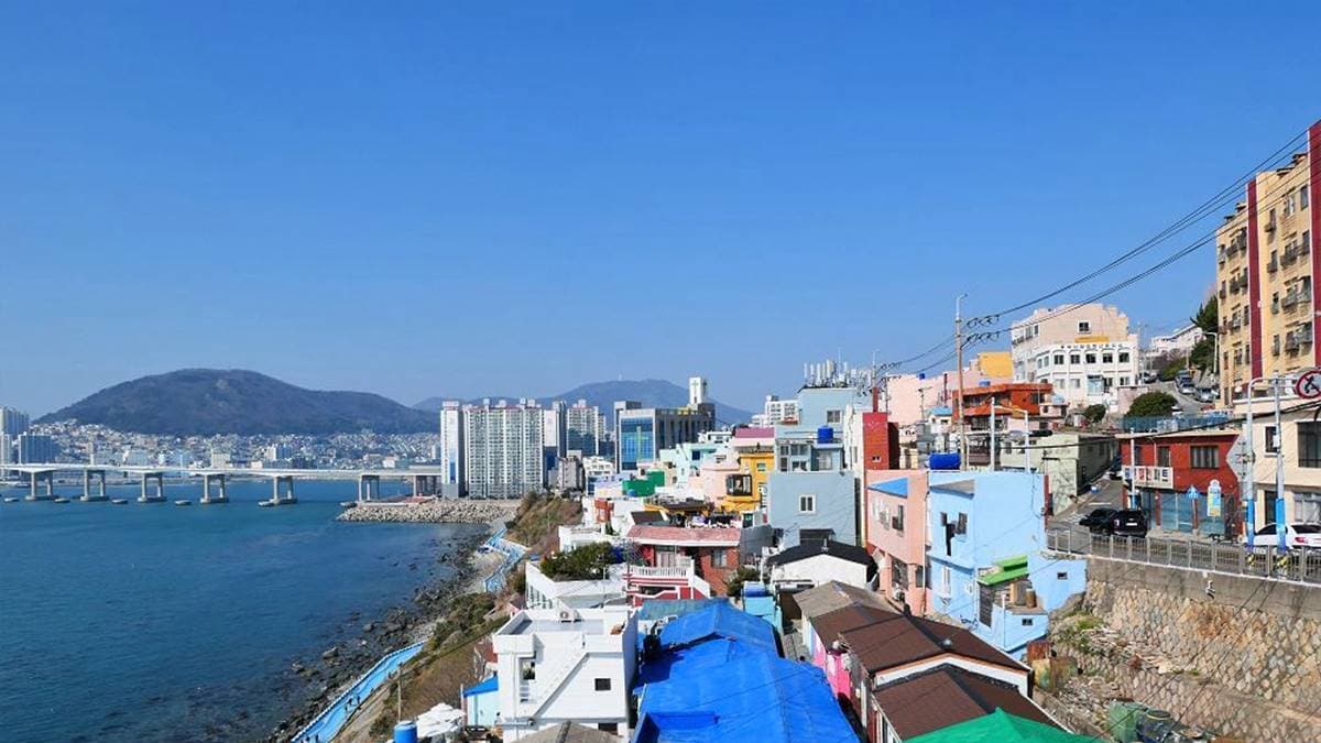 遠方還能看到南港大橋。（圖片來源：妮妮˙ˇ˙用類單記錄生活）