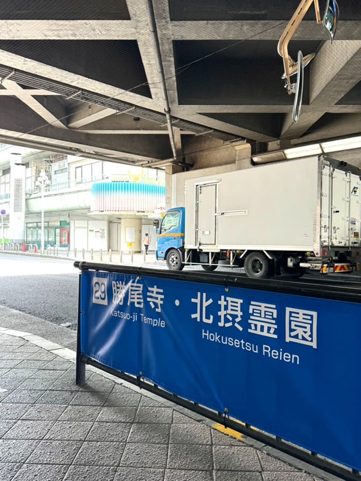整座山壁擺滿不倒翁!大阪隱藏版賞楓必遊景點,必抽達摩籤試手氣 整座山壁擺滿不倒翁!大阪隱藏版賞楓必遊景點,必抽達摩籤試手氣