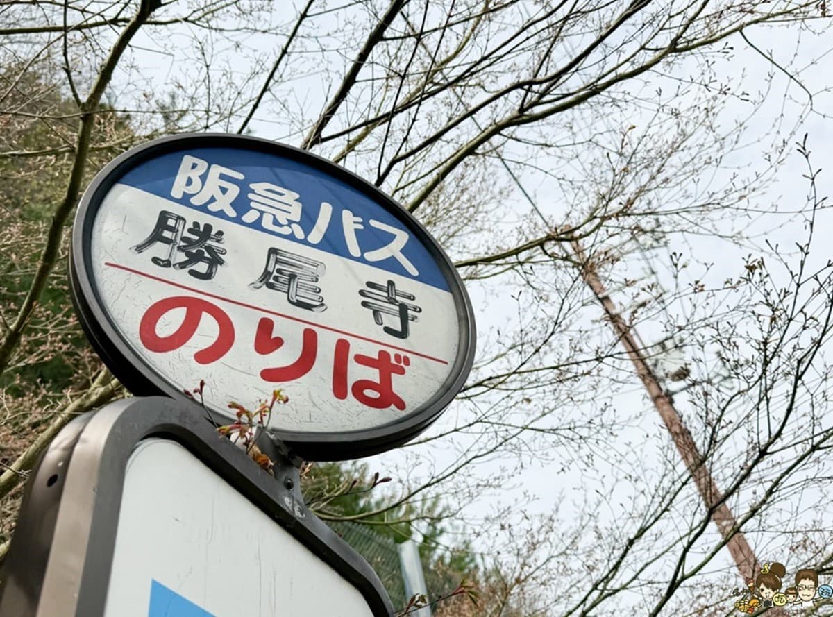 整座山壁擺滿不倒翁!大阪隱藏版賞楓必遊景點,必抽達摩籤試手氣 整座山壁擺滿不倒翁!大阪隱藏版賞楓必遊景點,必抽達摩籤試手氣