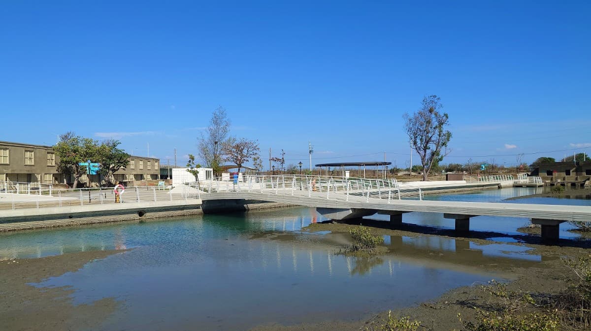 「台南最美鹽田」新亮點！生態步道賞超萌招潮蟹，搶拍「生命之樹」神級美照