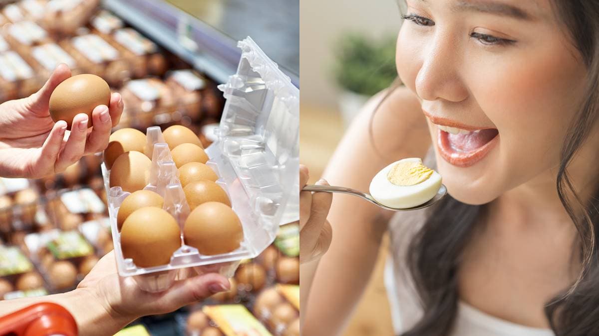 「雞蛋」是過敏地雷食物榜首!中醫解惑背後真相,籲「1類人」盡量少吃