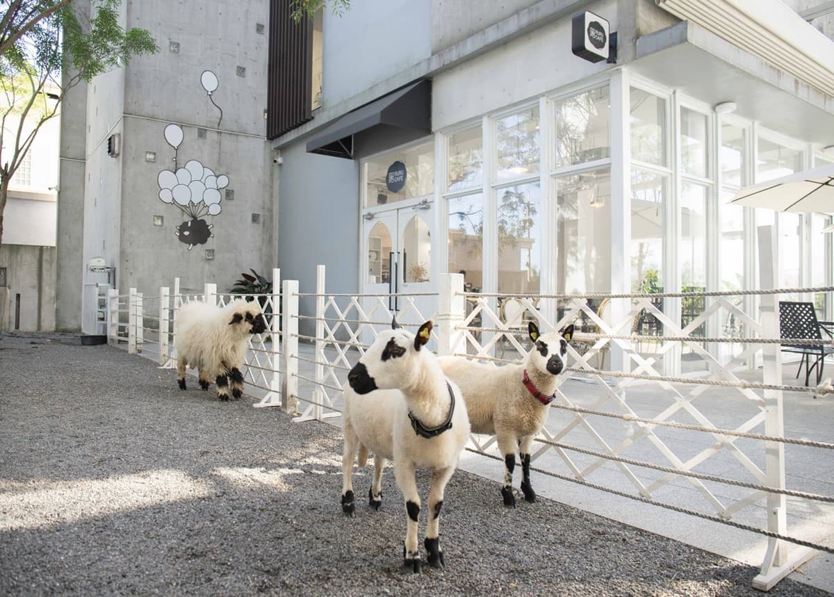 1.8折住嘉義101、「這年這月生」爽享吃到飽6折!7大飯店優惠總整理 1.8折住嘉義101、「這年這月生」爽享吃到飽6折!7大飯店優惠總整理