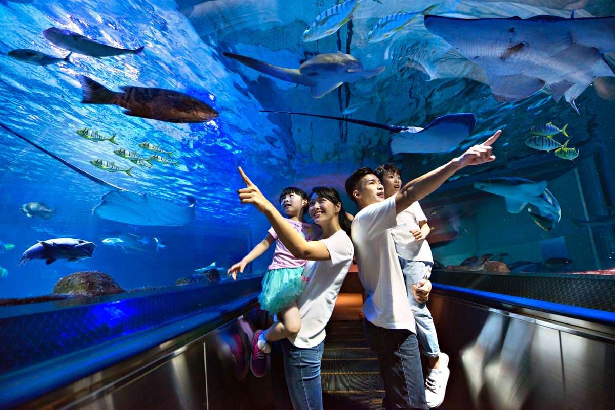 花蓮海洋公園「這天」回歸!3大優惠亮點:6月壽星免費、限時4天買一送一 花蓮海洋公園「這天」回歸!3大優惠亮點:6月壽星免費、限時4天買一送一