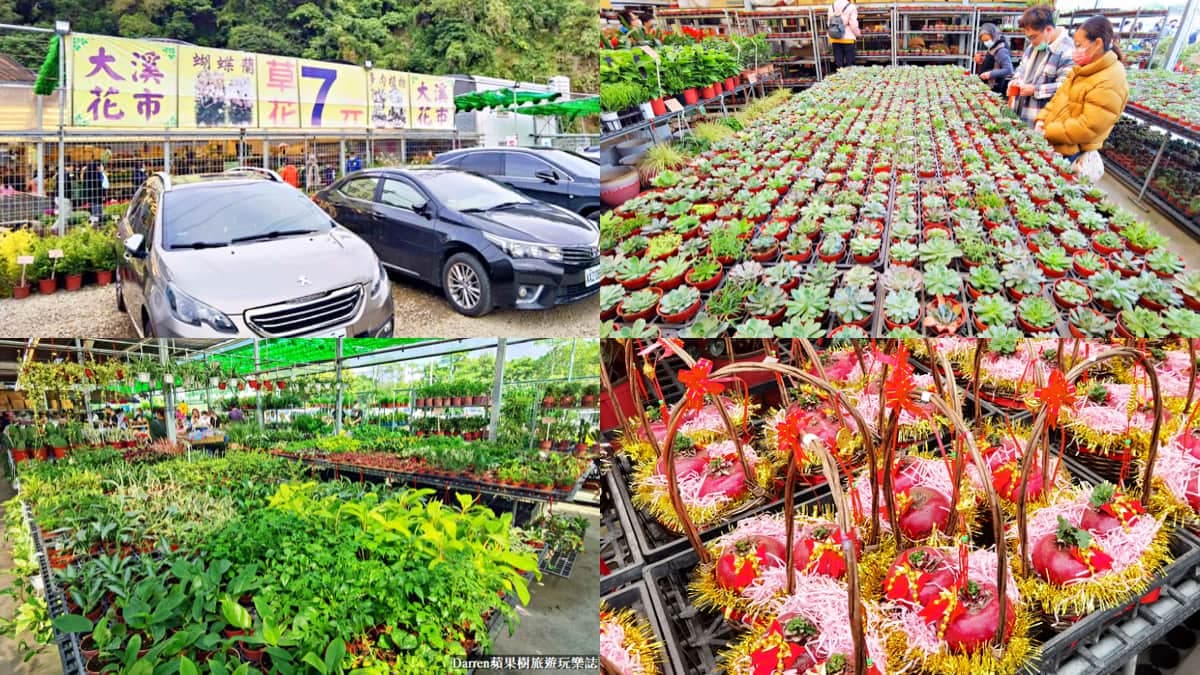 盆栽最低僅７元！桃園鄉民激推「平價花市」地點曝，多肉植物買４送１好划算