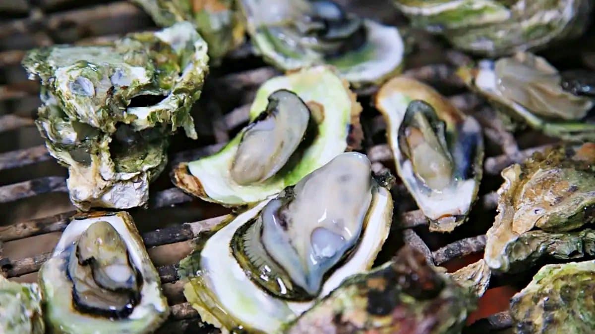現場提供澎湖烤牡蠣、海鮮粥吃到飽。（圖片來源：熱血玩台南。跳躍新世界）