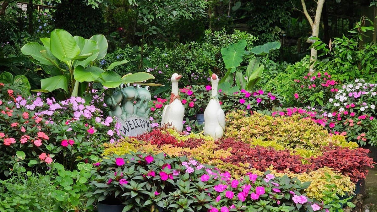 園區種滿花花草草，處處都好拍。（圖片來源：卓也小屋度假園區）