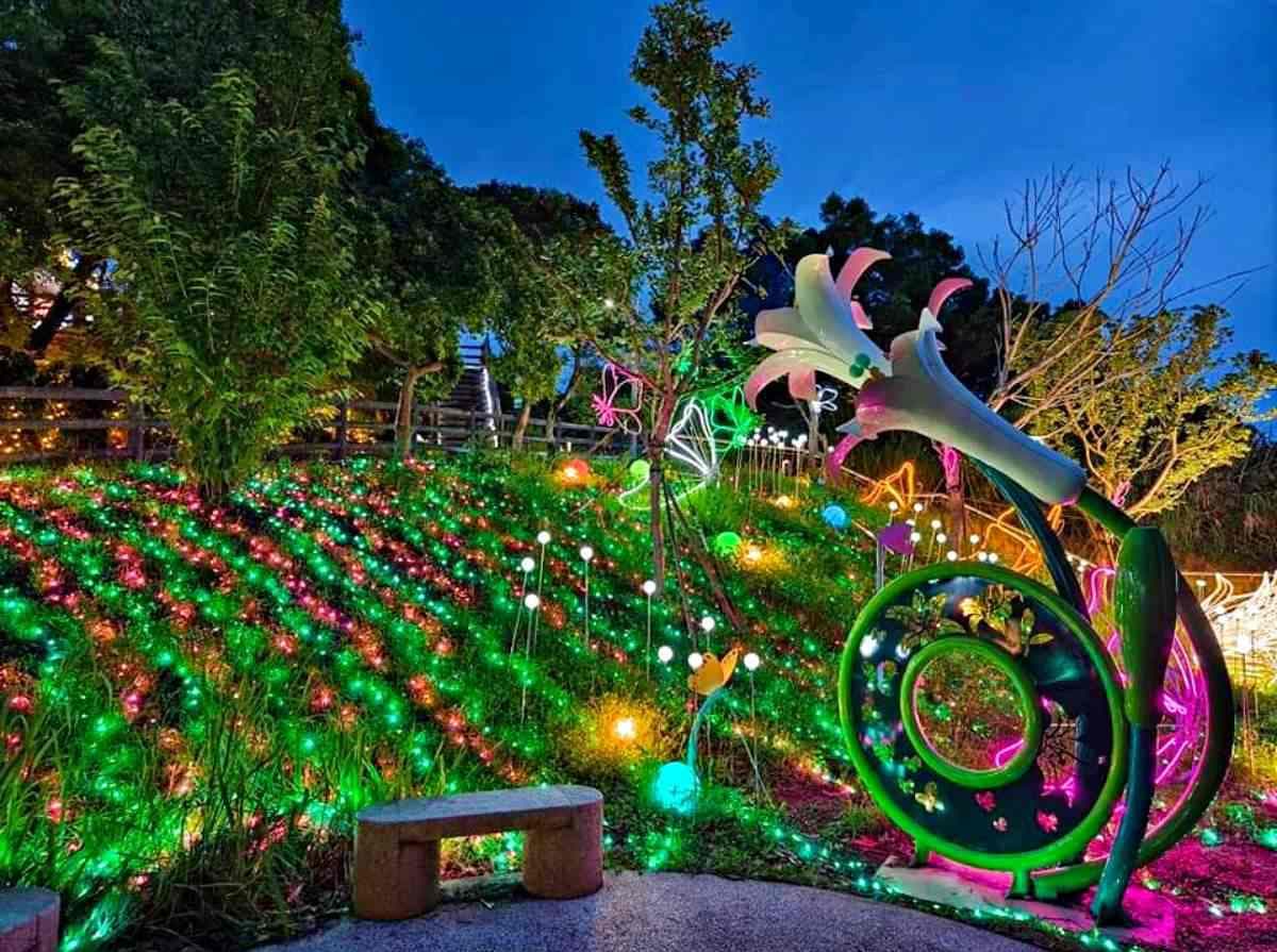 「桃園最美夜景步道」搶先點燈!燈球廊道、精靈樹免費拍爆,順逛小農市集 「桃園最美夜景步道」搶先點燈!燈球廊道、精靈樹免費拍爆,順逛小農市集
