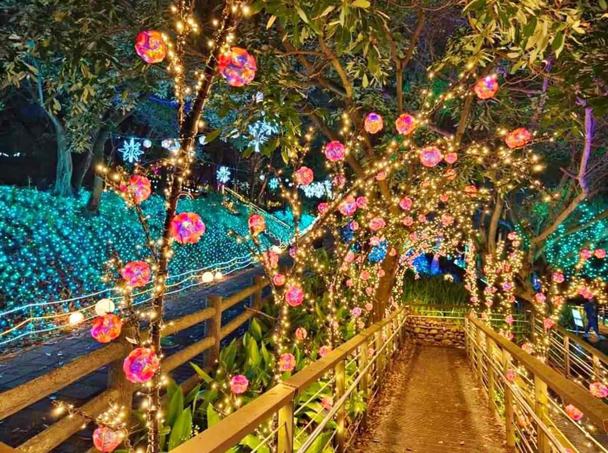 「桃園最美夜景步道」搶先點燈!燈球廊道、精靈樹免費拍爆,順逛小農市集 「桃園最美夜景步道」搶先點燈!燈球廊道、精靈樹免費拍爆,順逛小農市集