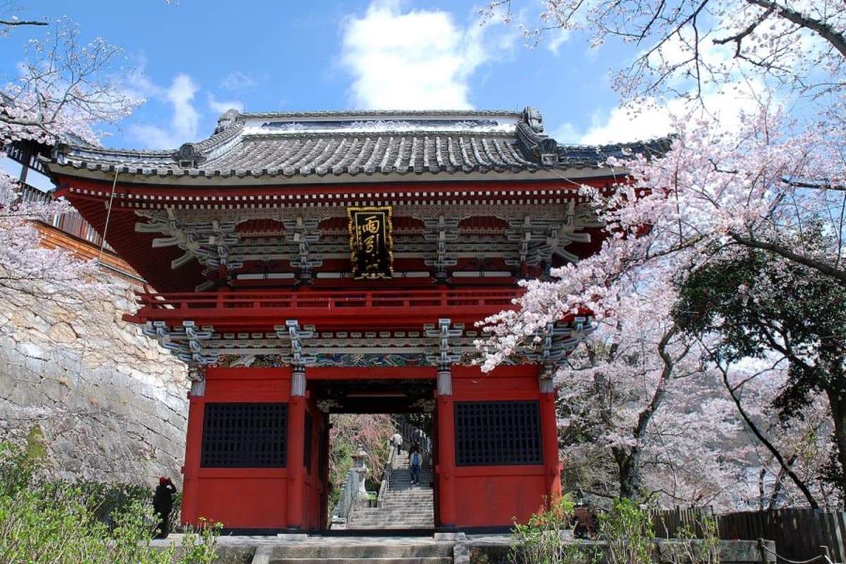 整個池面都是繡球花！觀音寺竟藏IG暴紅美景，還有夜間燈光秀快衝