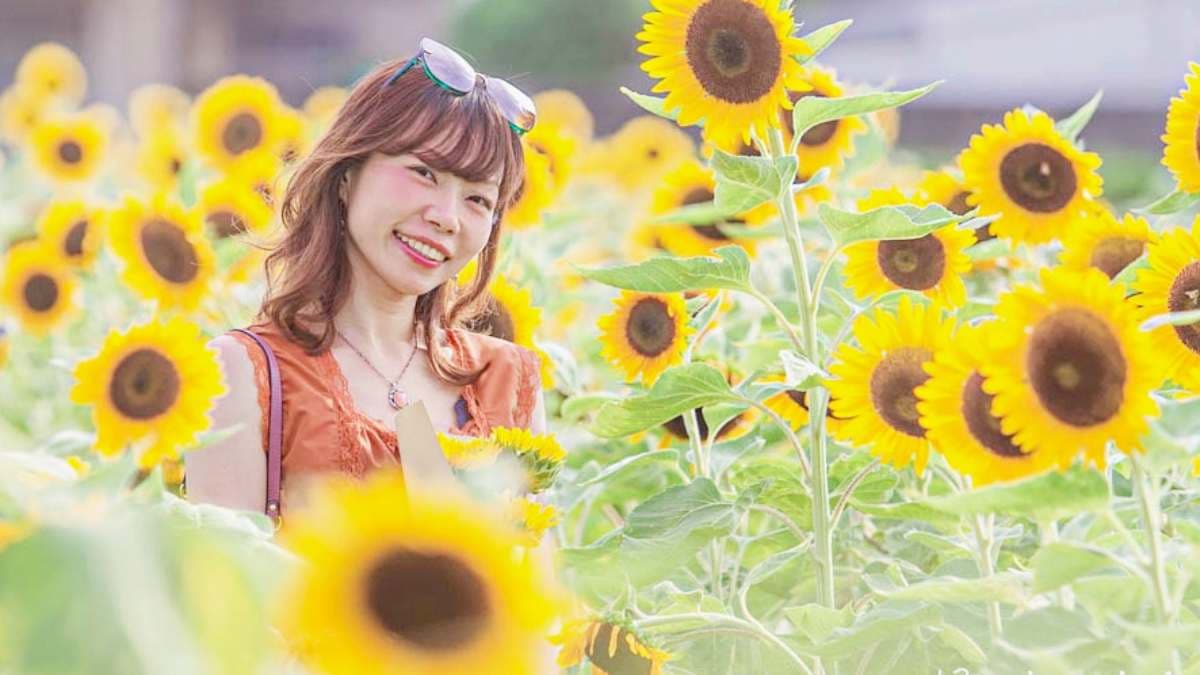 每年５～10月，是向陽農場的向日葵花季。（圖片來源：13’s幸福食光）