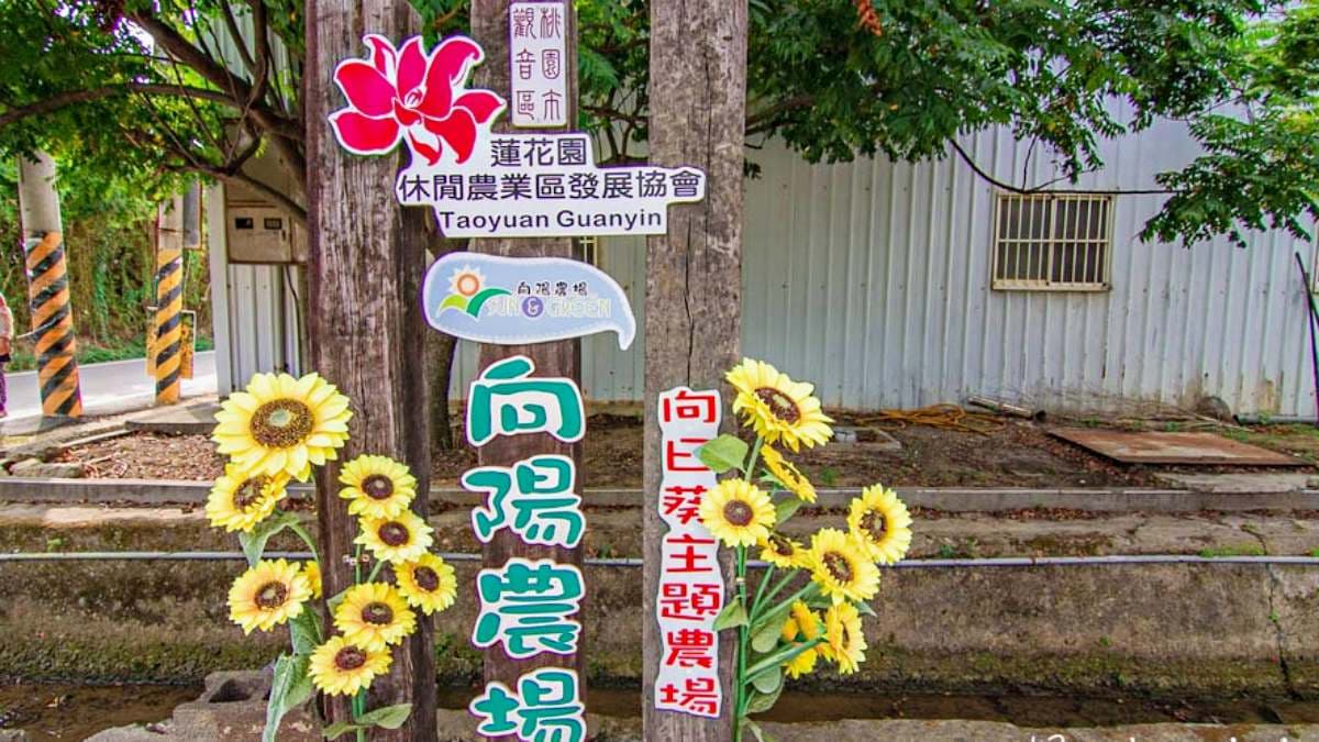 向陽農場的入園門票為100元，可全額抵用消費。（圖片來源：13’s幸福食光）