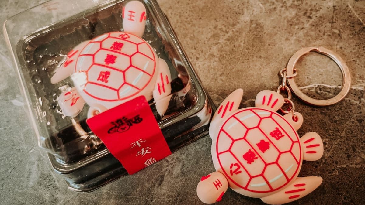 「DIY教學肪片龜」很有趣，很適合親子一起嘗試。（圖片來源：飛炫葡萄媽）