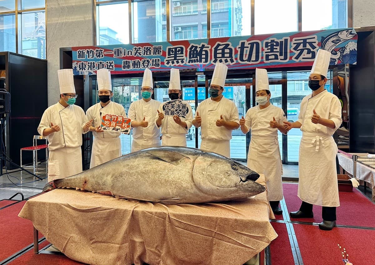 新竹吃到飽霸主！221公斤黑鮪魚現切生魚片，爽嗑牛排干貝暢飲日本生啤