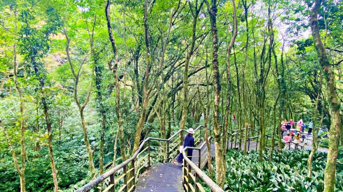 步道林蔭成群，很適合夏天避暑。（圖片來源：依娃旅行小確幸）