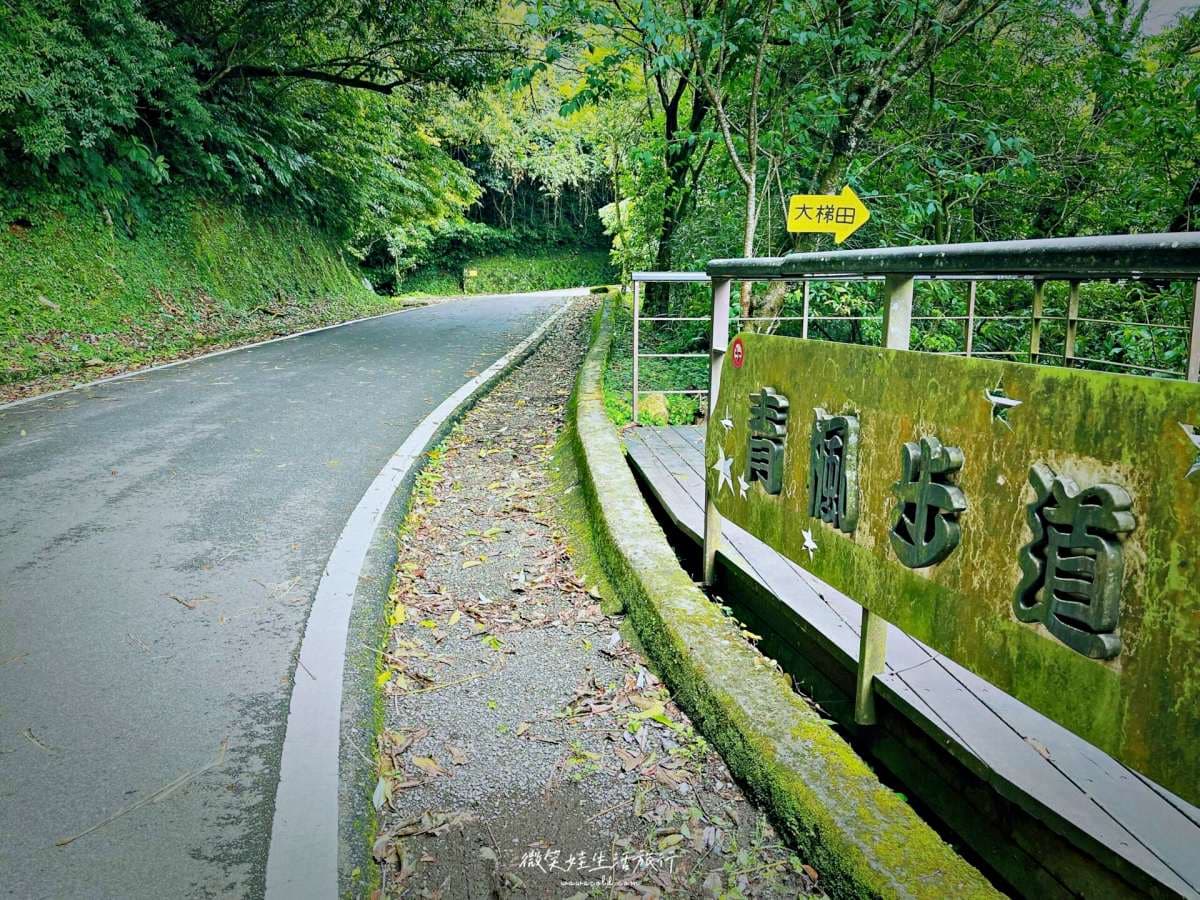 20分鐘輕鬆走完！「魔幻森林步道」藏陽明山，順遊「繡球花祕境」美照拍到飽