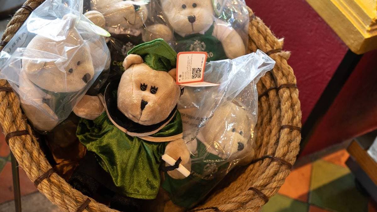 店內也有清邁限定的星巴克小熊。（圖片來源：Pengu Travel）