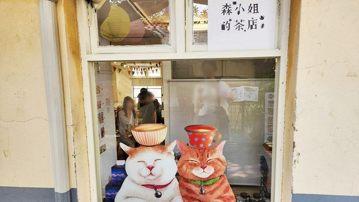 森小姐的茶店位於審計新村２樓，會先看到窗邊可愛的貓咪。（圖片來源：晴天散步）