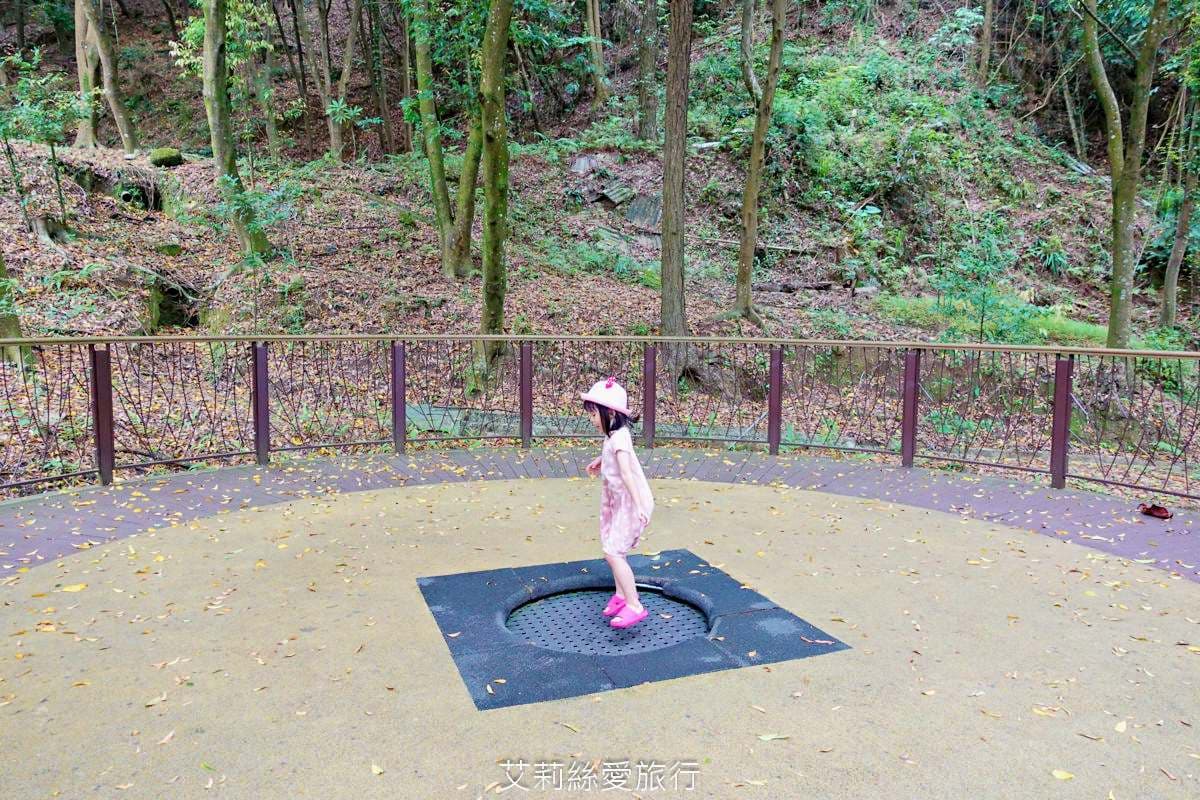 破萬坪「森林遊樂場」在這!獨木橋、跳跳床玩完回家秒睡,還能泡腳、走步道 破萬坪「森林遊樂場」在這!獨木橋、跳跳床玩完回家秒睡,還能泡腳、走步道