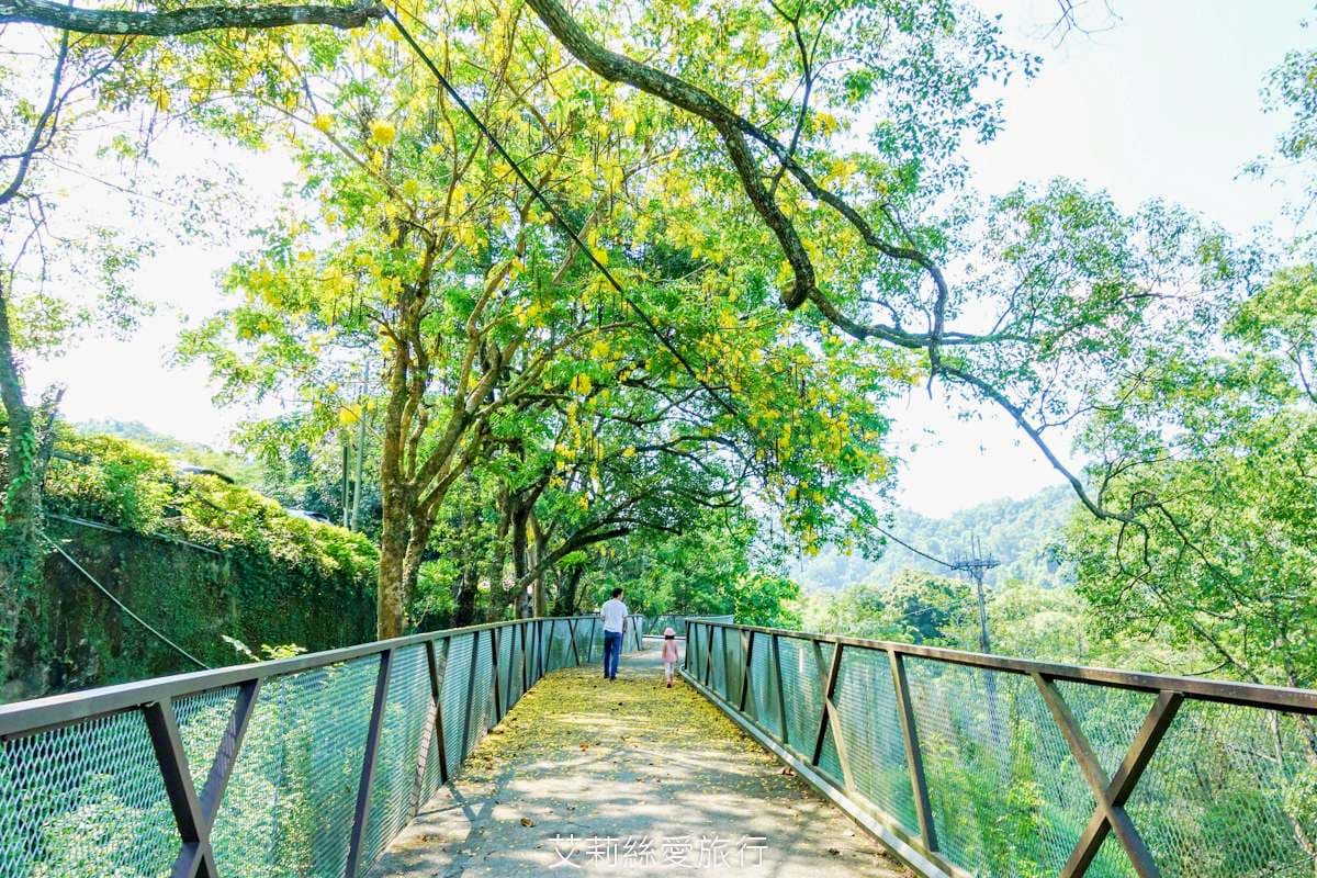 破萬坪「森林遊樂場」在這！獨木橋、跳跳床玩完回家秒睡，還能泡腳、走步道