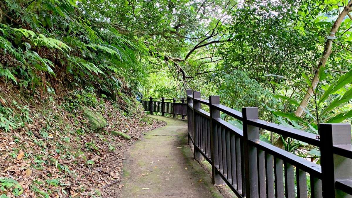 步道一開始風光明媚，山區林相完整。（圖片來源：可大王愛旅行）