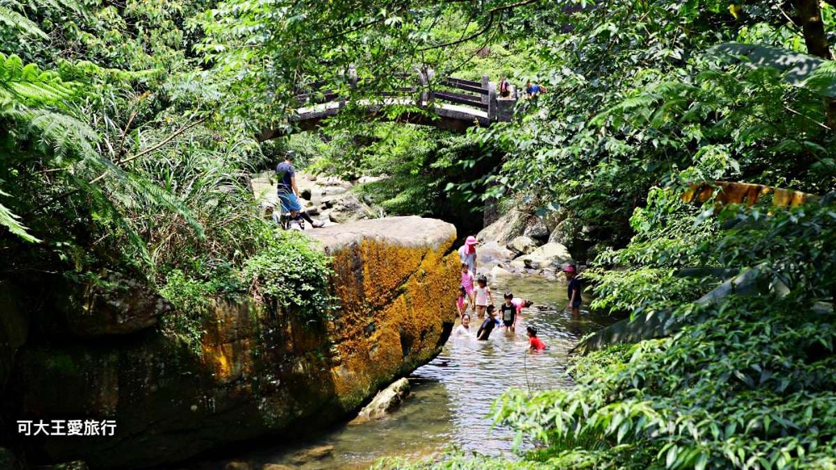 溪水清澈見底，又不時看到魚群悠游。（圖片來源：可大王愛旅行）