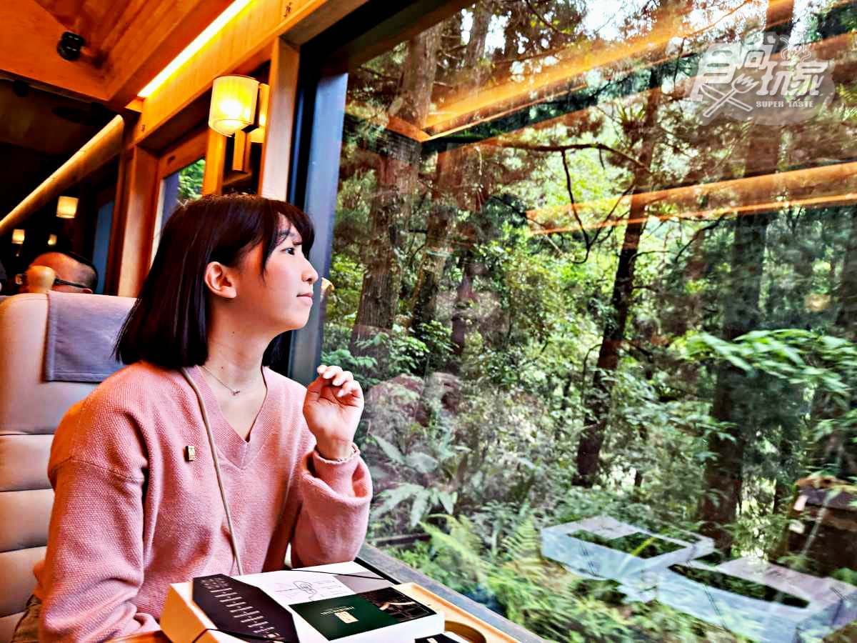 阿里山最美火車「這天」啟航！福森號遊程４亮點：九宮格質感餐盒、品茶體驗