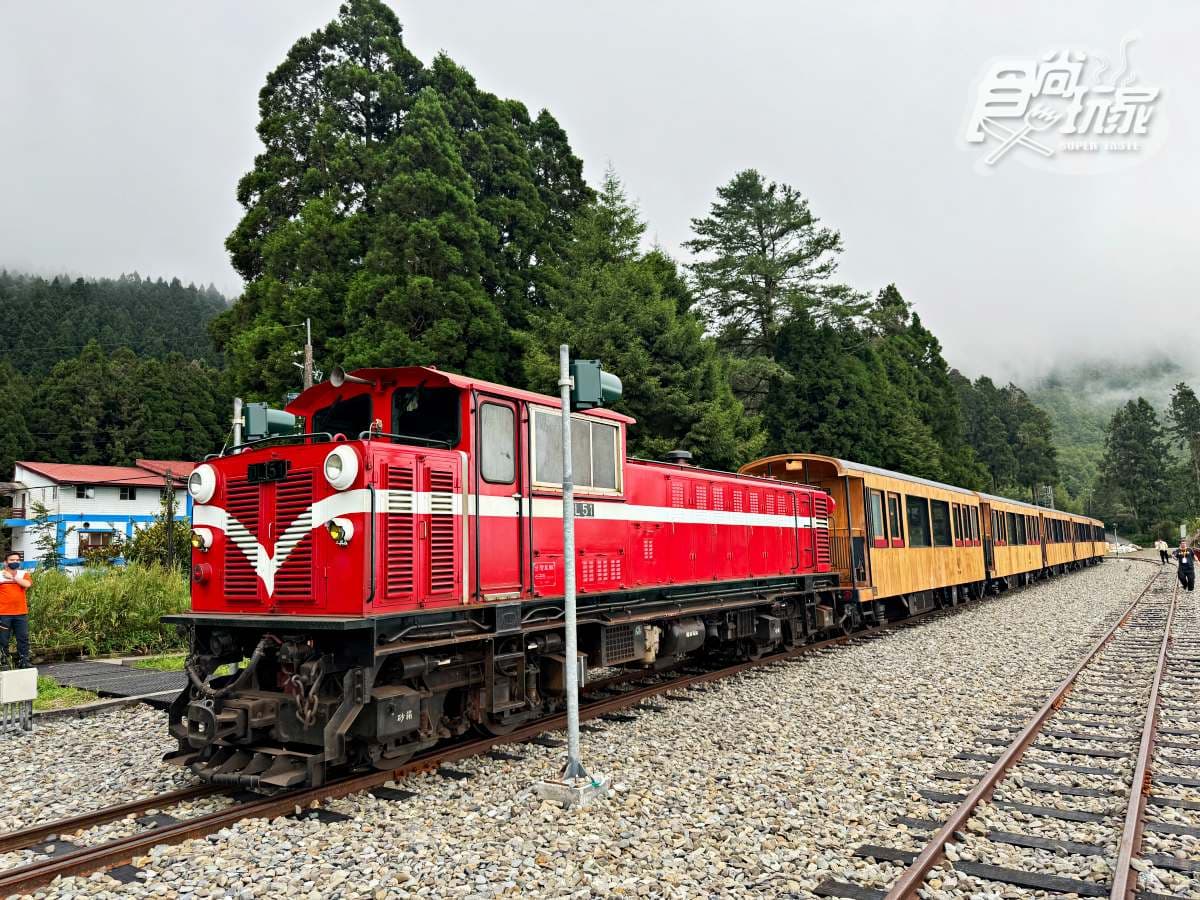 阿里山最美火車「這天」啟航！福森號遊程４亮點：九宮格質感餐盒、品茶體驗