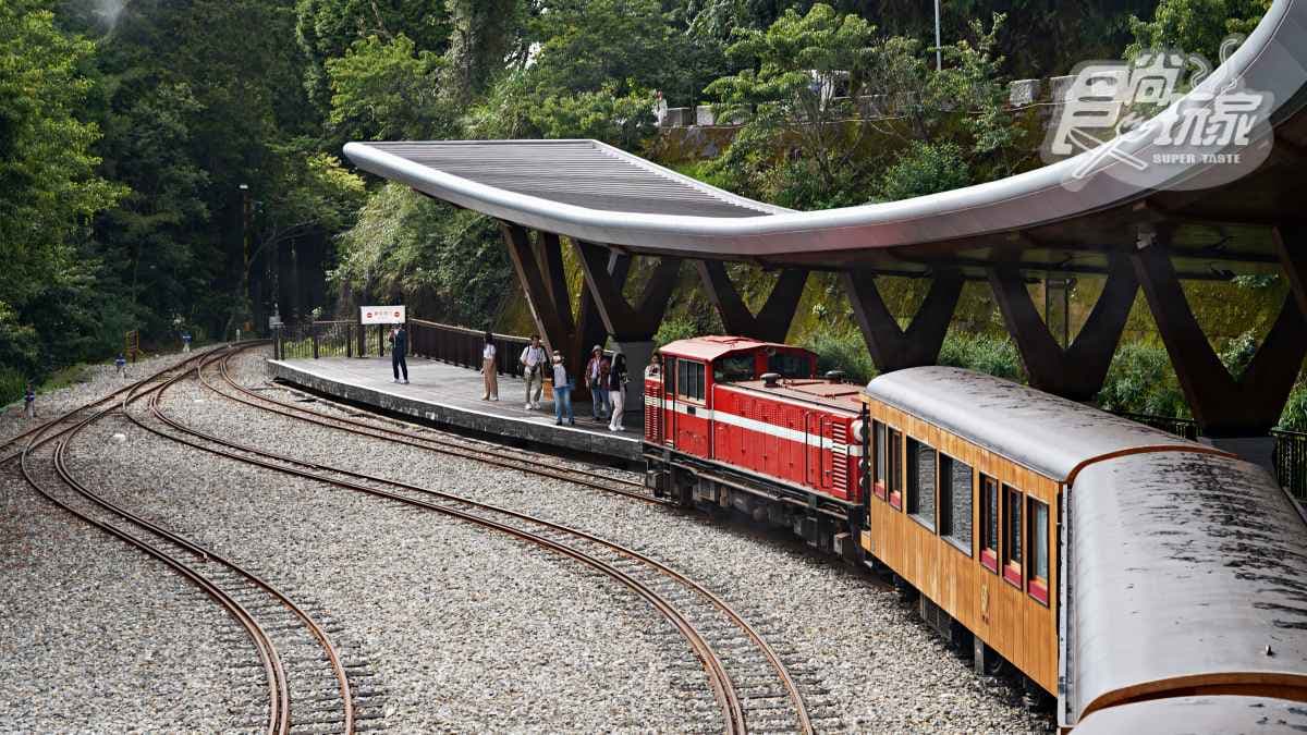阿里山最美火車「這天」啟航！福森號遊程４亮點：九宮格質感餐盒、品茶體驗