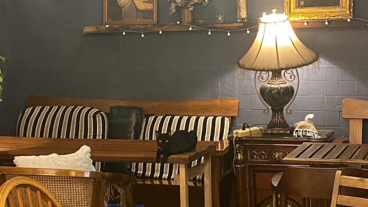店內裝潢融合老宅和異國傢俱。（圖片來源：IN COFFEE）