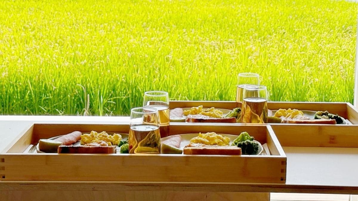早餐搭著外面的稻田，也是一種無法形容的美。（圖片來源：壞波妞の旅行食踨）