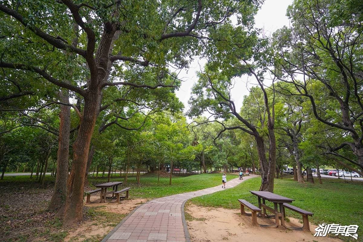 台中人免費玩水！公園戲水區「噴水槍、水霧隧道」超消暑，22公尺溜滑梯放電