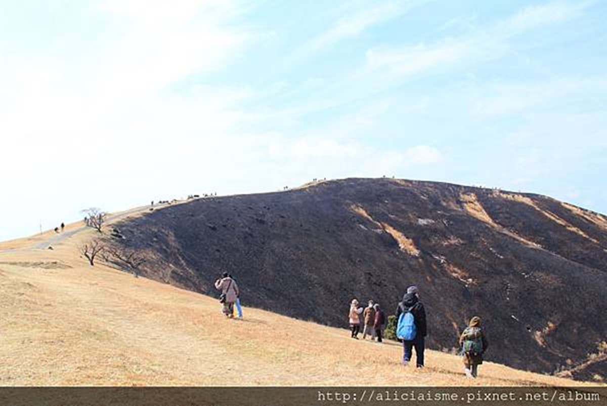 580公尺「抹茶布丁山」!欣賞雲中富士山,花百元還能體驗「放火燒山」 580公尺「抹茶布丁山」!欣賞雲中富士山,花百元還能體驗「放火燒山」
