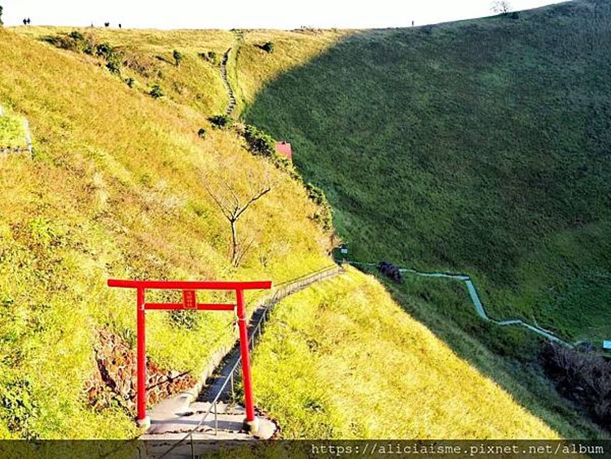 580公尺「抹茶布丁山」!欣賞雲中富士山,花百元還能體驗「放火燒山」 580公尺「抹茶布丁山」!欣賞雲中富士山,花百元還能體驗「放火燒山」