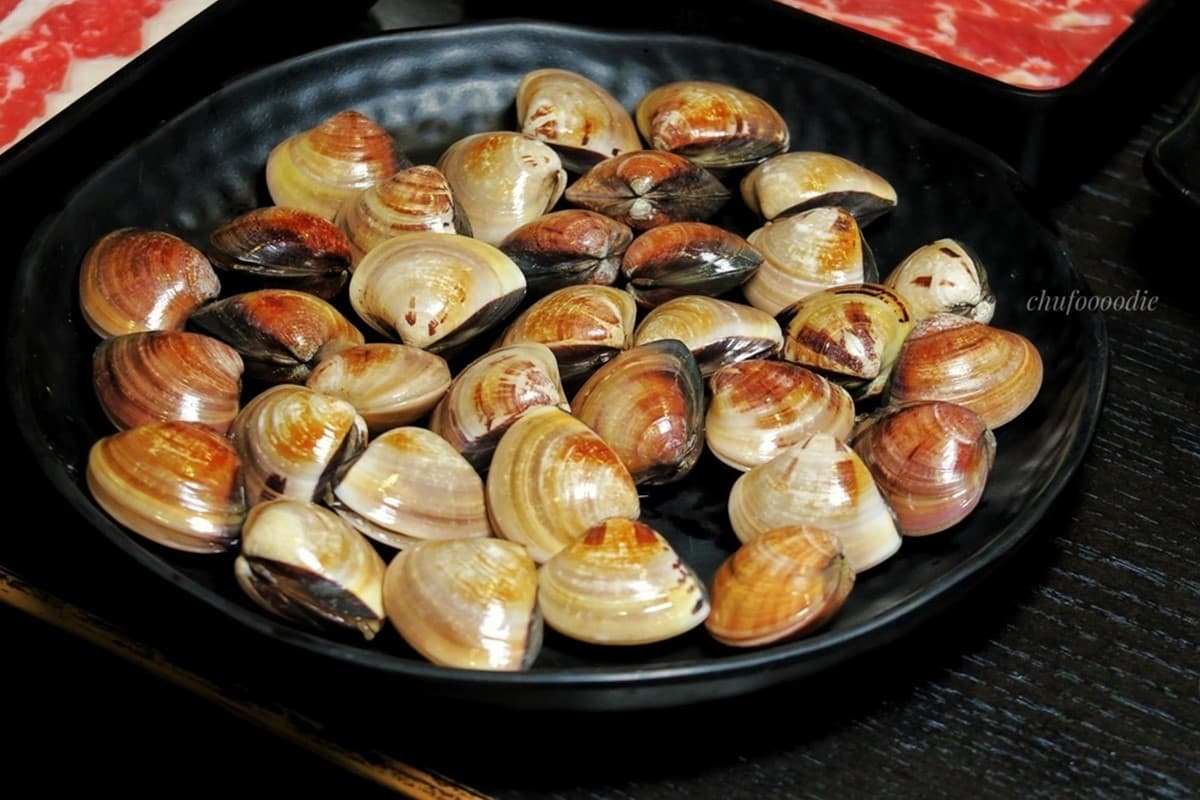 499元起酸菜魚吃到飽！全台唯一「港式火鍋吃到飽」在這，爽喝絲襪奶、凍檸茶