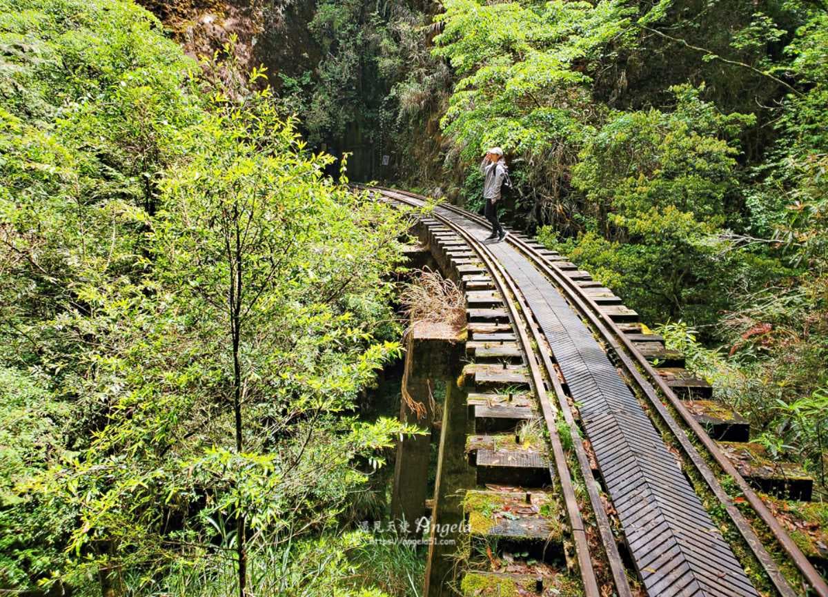 挑戰「全台最美鐵路步道」！祕境鐵橋、隧道仙氣爆棚，申請流程、路線一次看