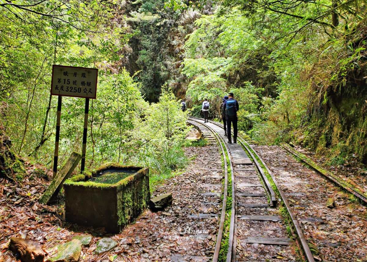 挑戰「全台最美鐵路步道」！祕境鐵橋、隧道仙氣爆棚，申請流程、路線一次看