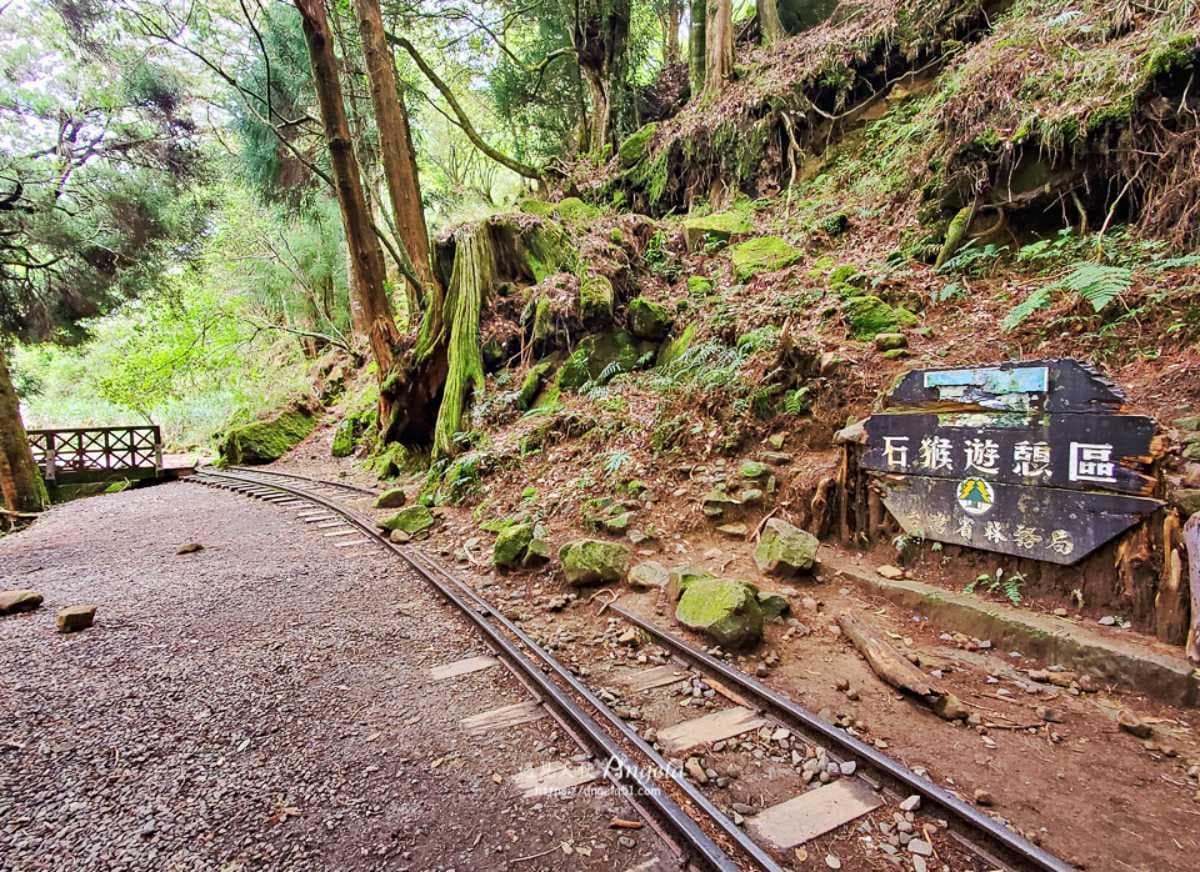 挑戰「全台最美鐵路步道」！祕境鐵橋、隧道仙氣爆棚，申請流程、路線一次看