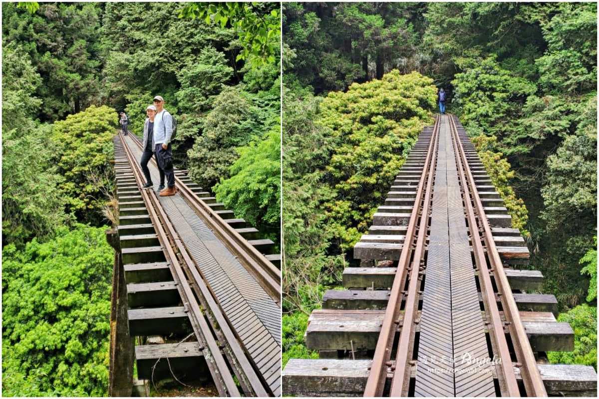 挑戰「全台最美鐵路步道」！祕境鐵橋、隧道仙氣爆棚，申請流程、路線一次看