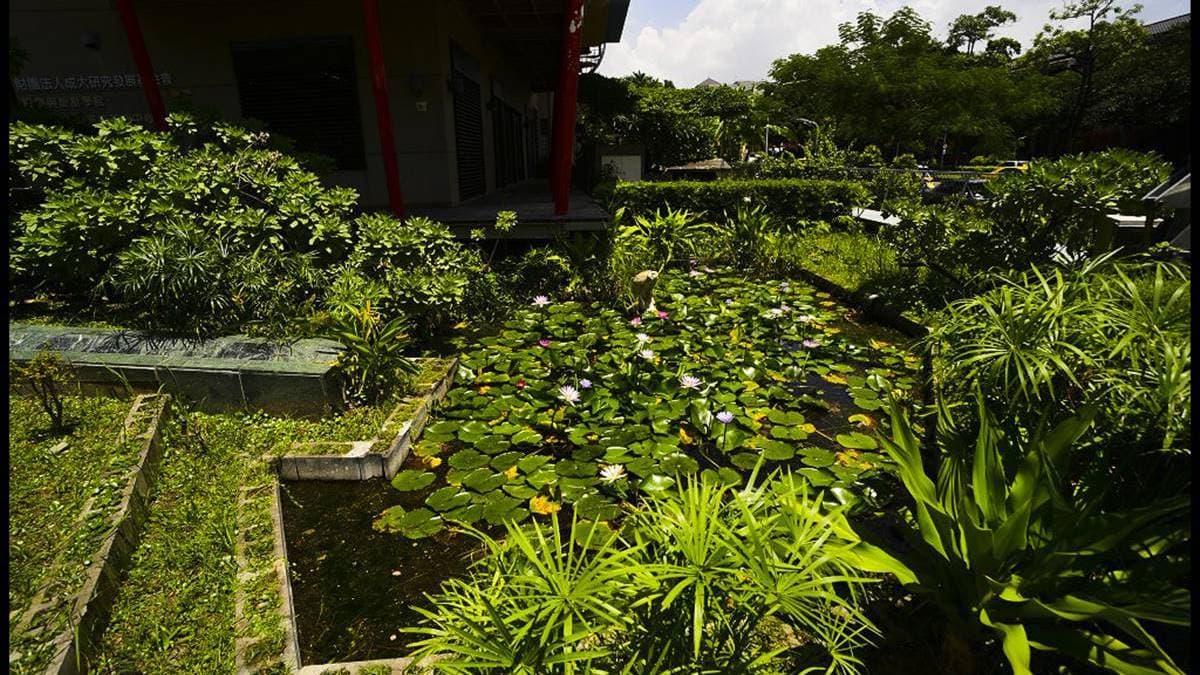 建築的四周都栽種了綠色植物。（圖片來源：假日農夫愛趴趴照）