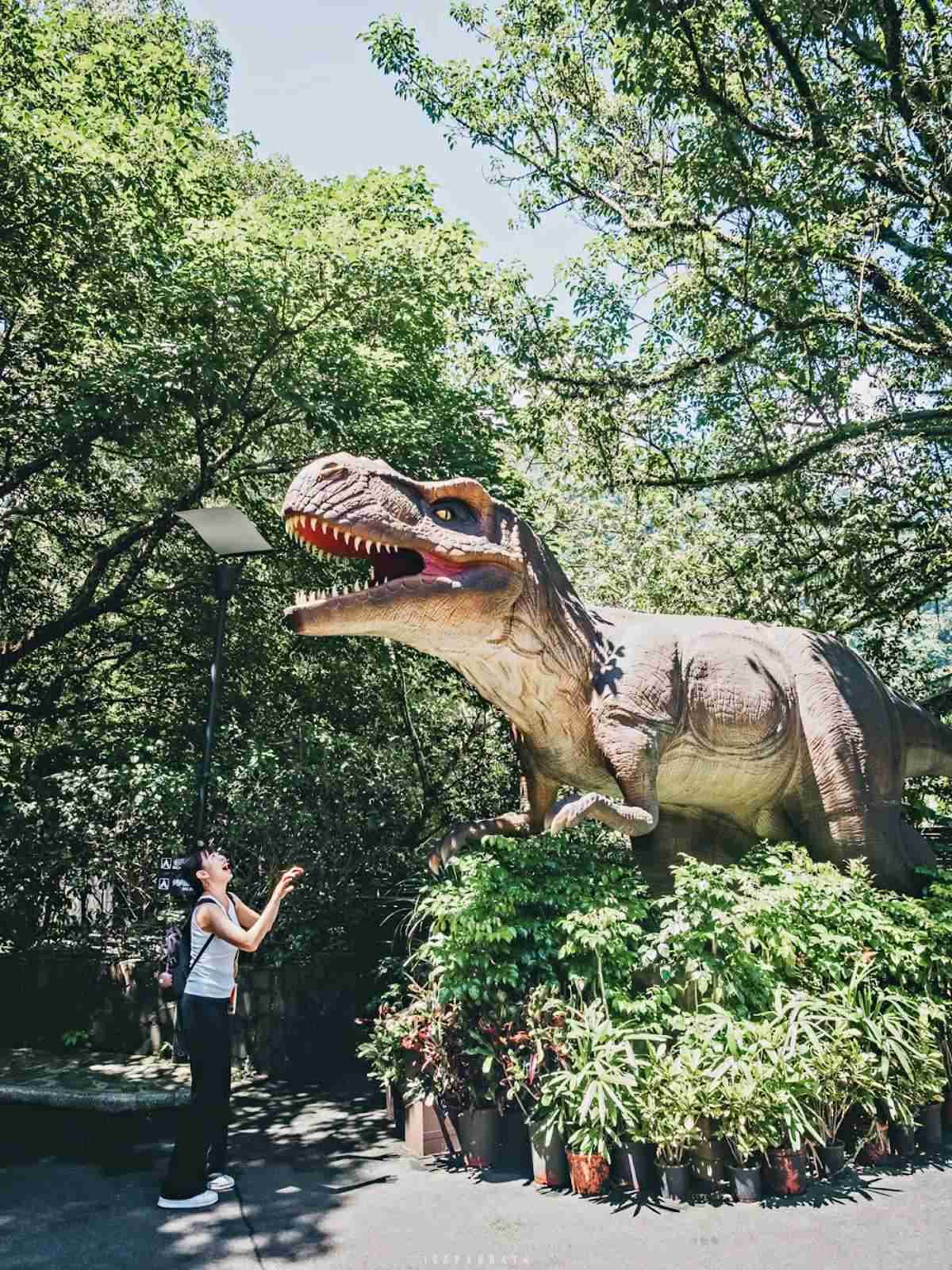 誤闖侏羅紀公園?全台唯一「恐龍森林步道」藏在這,百年巨藤、榕樹根太壯觀 誤闖侏羅紀公園?全台唯一「恐龍森林步道」藏在這,百年巨藤、榕樹根太壯觀