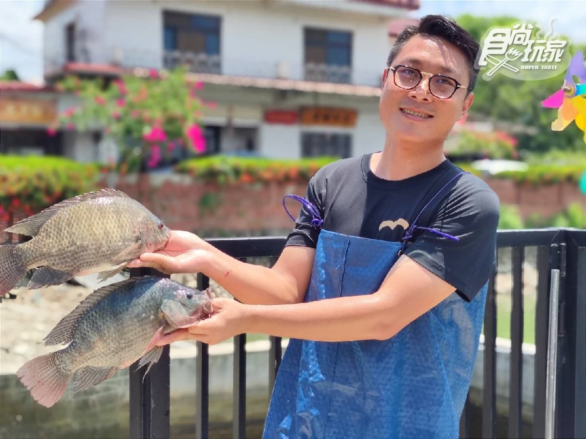 【獨家】現撈鯛魚免費吃！全台首家「台灣鯛砂鍋魚頭」，必嘗巨無霸敲敲魚