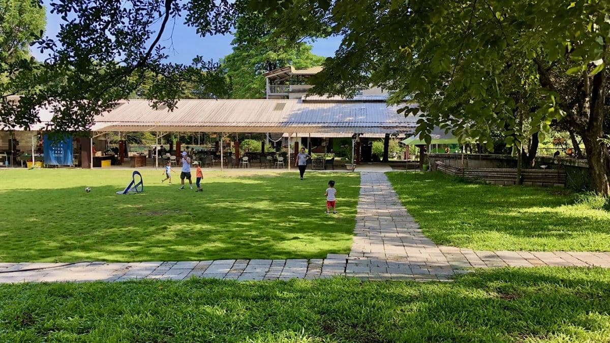 入園處有一大片草皮。（圖片來源：Vicky媽媽的遊樂園）