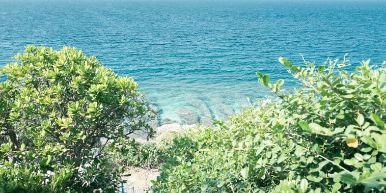 美人洞步道能見到特殊的石灰岩地形。（圖片來源：薇樂莉 Love Viaggio）