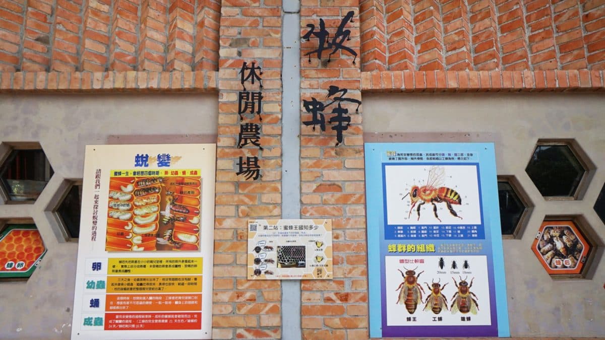 這裡可學習蜜蜂以及蜂蜜的相關知識。（圖片來源：老錢的老巢）