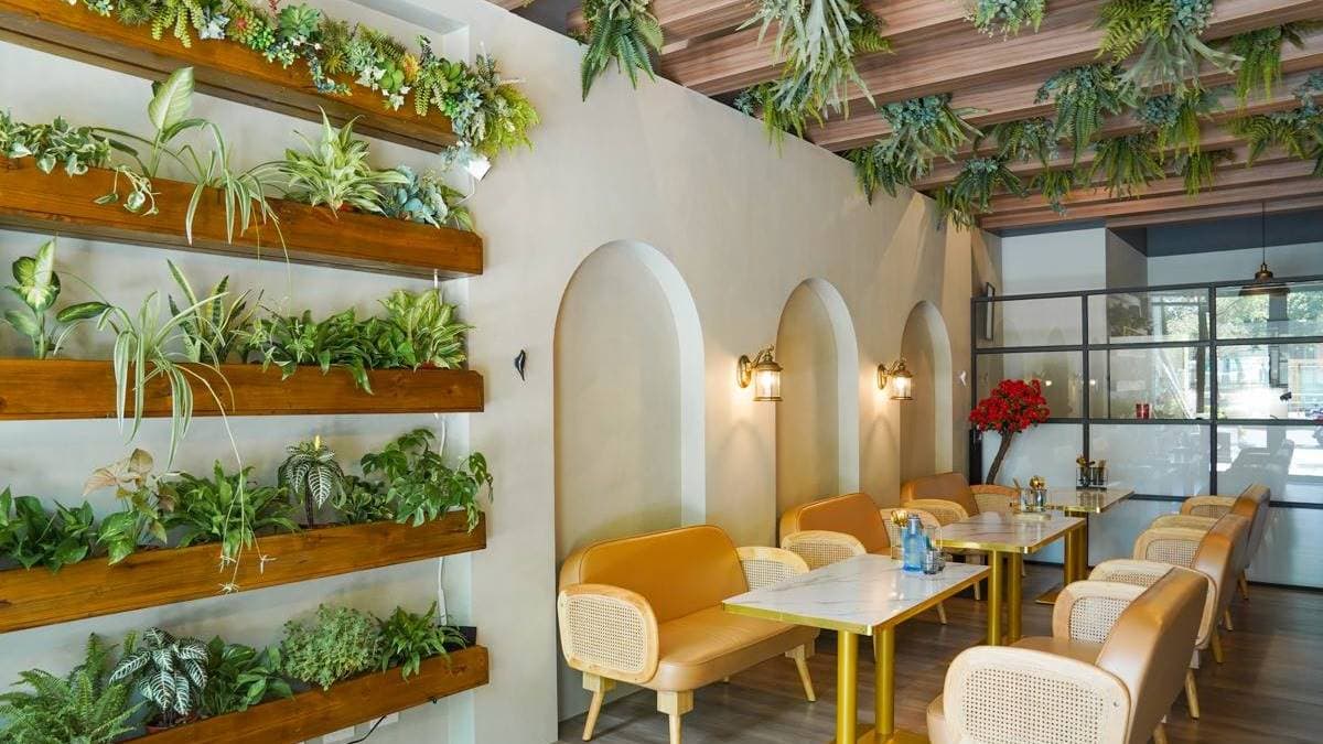 店內裝潢以南歐風格設計，搭配大量綠色植栽營造舒適氛圍。（圖片來源：美食好芃友）