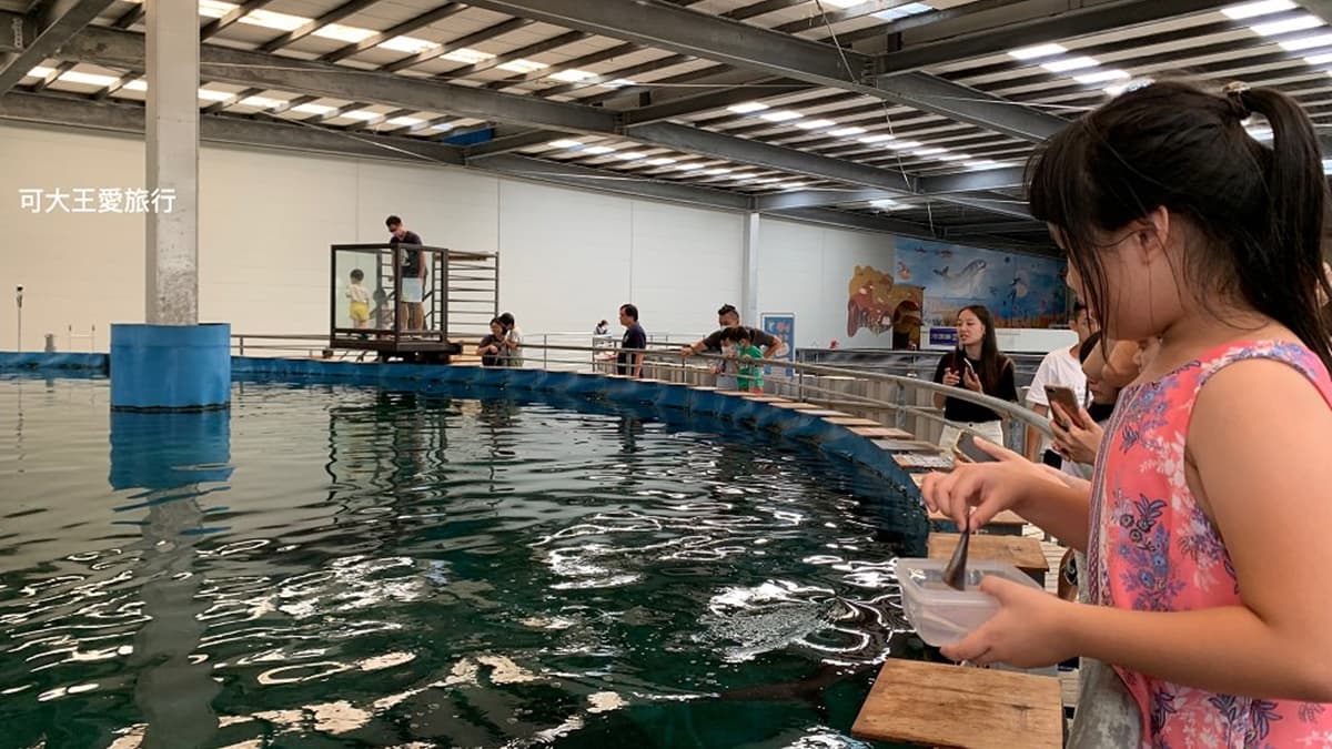 在這還可體驗餵鯊魚等親子活動。（圖片來源：可大王愛旅行）