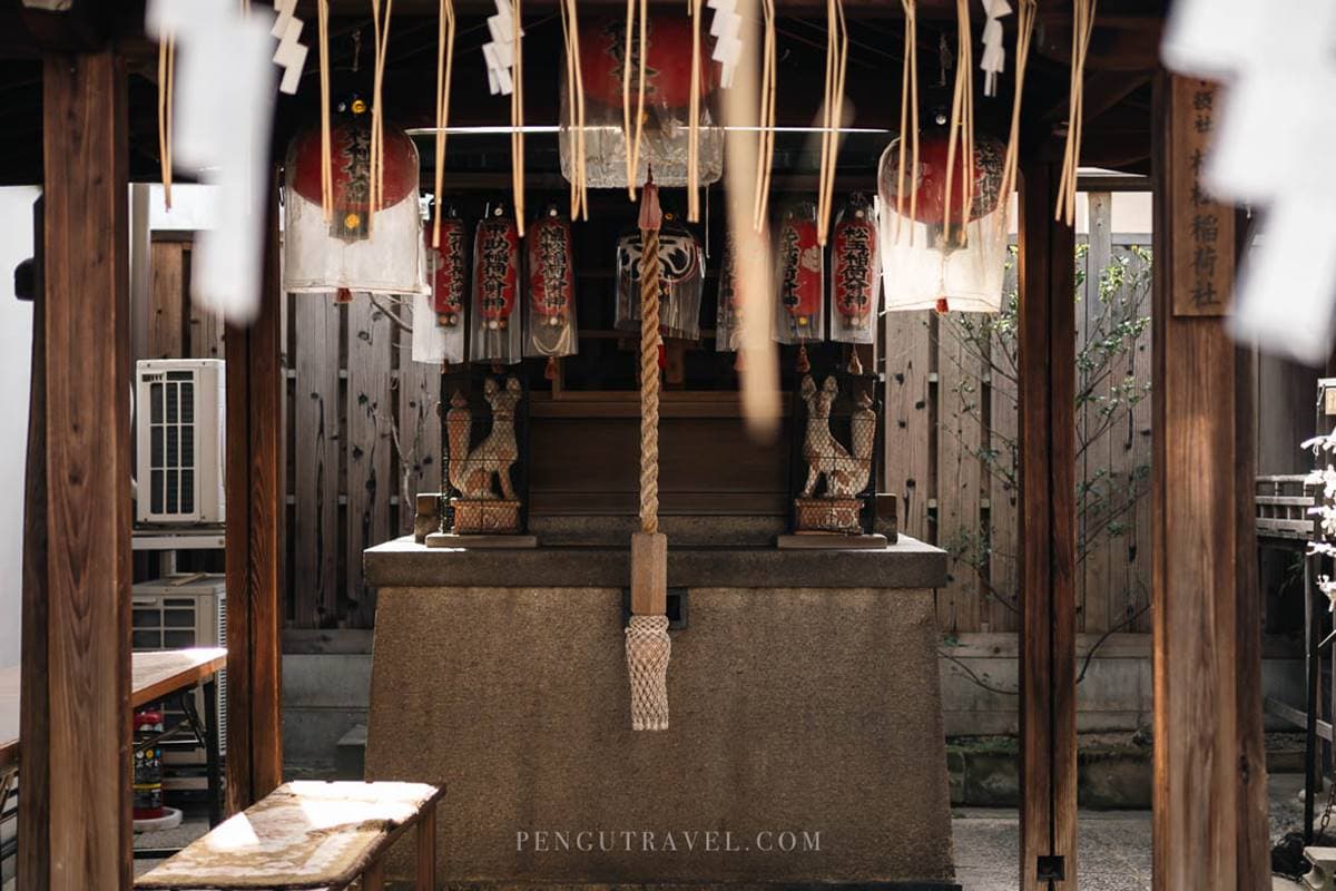 女性專屬守護神!京都最強「女神神社」,社內「神奇井水」喝下願望就成真 女性專屬守護神!京都最強「女神神社」,社內「神奇井水」喝下願望就成真