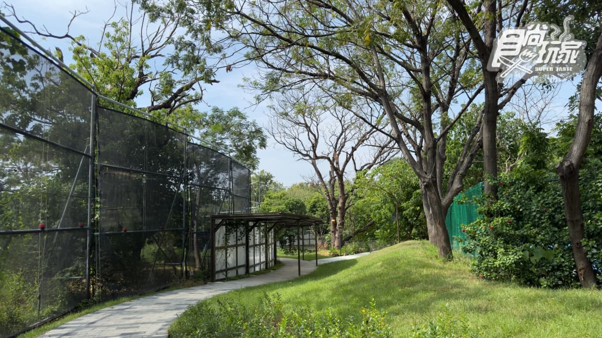 森林透過低度開發工程，簡單鋪設步道，讓民眾散步的途徑更加方便、不必踩泥巴。